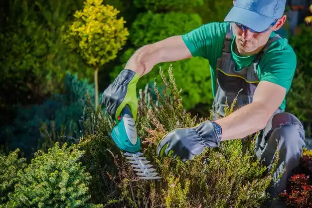 landscaping services Hawk Point